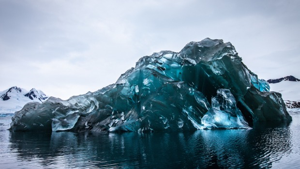 Vivid blue: A flipped iceberg at Cierva Cove on the Antarctic Peninsula. Photo: Alex Cornell