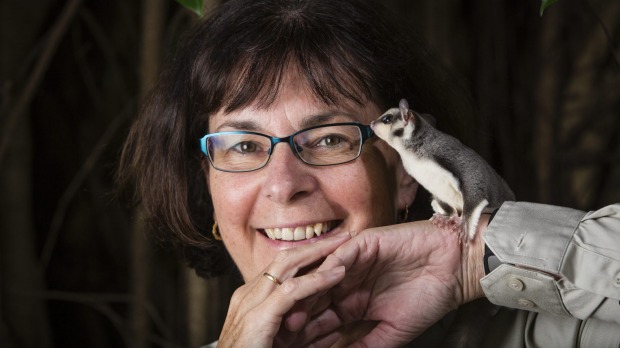 Something new: Professor Sue Carthew says there is much work to do before the glider species can be identified. 