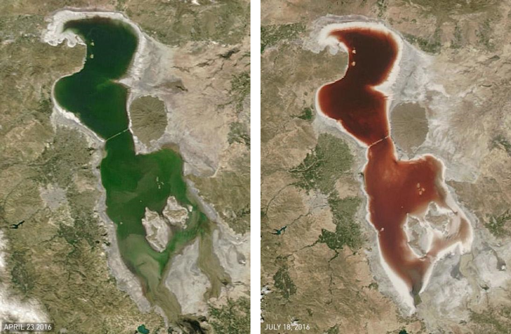 Bloody Transformation: The waters of Lake Urmia changed from green on April 23 to red on July 18, as seen by a NASA satellite. Photograph by NASA Earth Observatory 