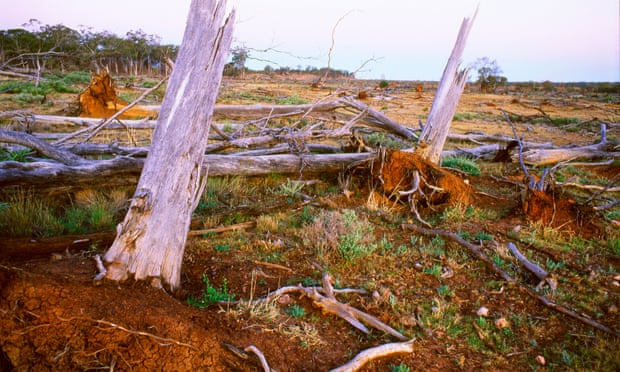 The UN says Australia is not meeting its obligation for a system of parks that protects 17% of all regions. Photograph: Auscape/UIG via Getty Images